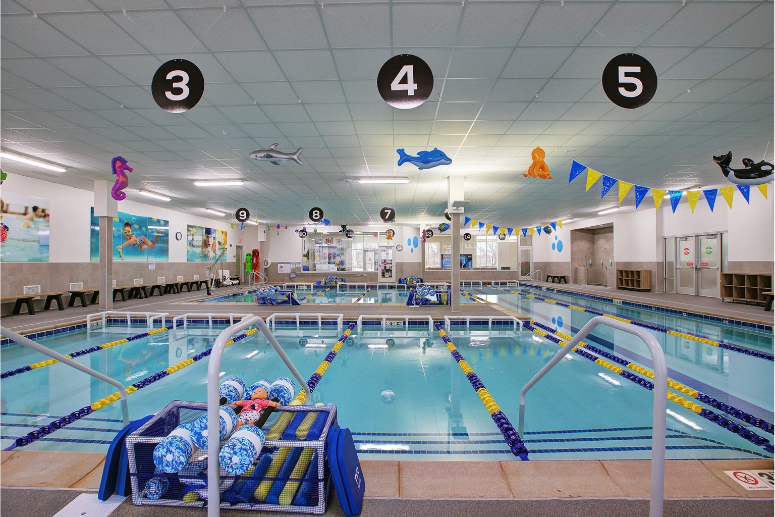 Designed for Learning What Makes a FOSS Pool Different? Foss Swim School